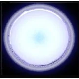 31.310.01 LED Oсветителна луна без вкопаване